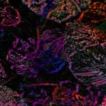 kartki okolicznościowe 66