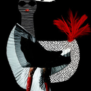 praca graficzna wzór nr 2